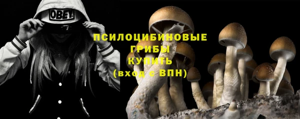 бутират Ладушкин