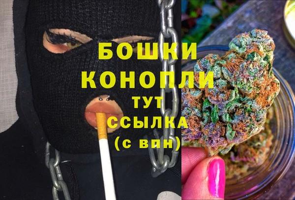 ECSTASY Лагань