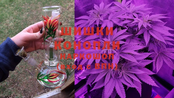 сатива Кукмор