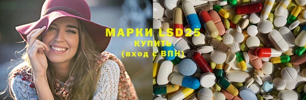 сатива Кукмор