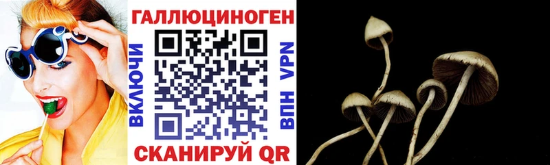 купить наркотик Красный Сулин Псилоцибиновые грибы Psilocybe